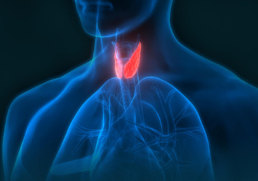 Endocrinology and Diabetes 