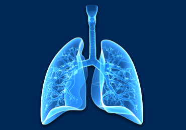 Pulmonology